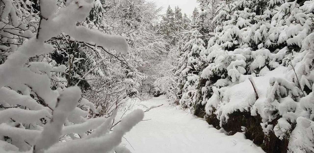 Podskalí Adršpach Teplice nad Metují Exterior foto